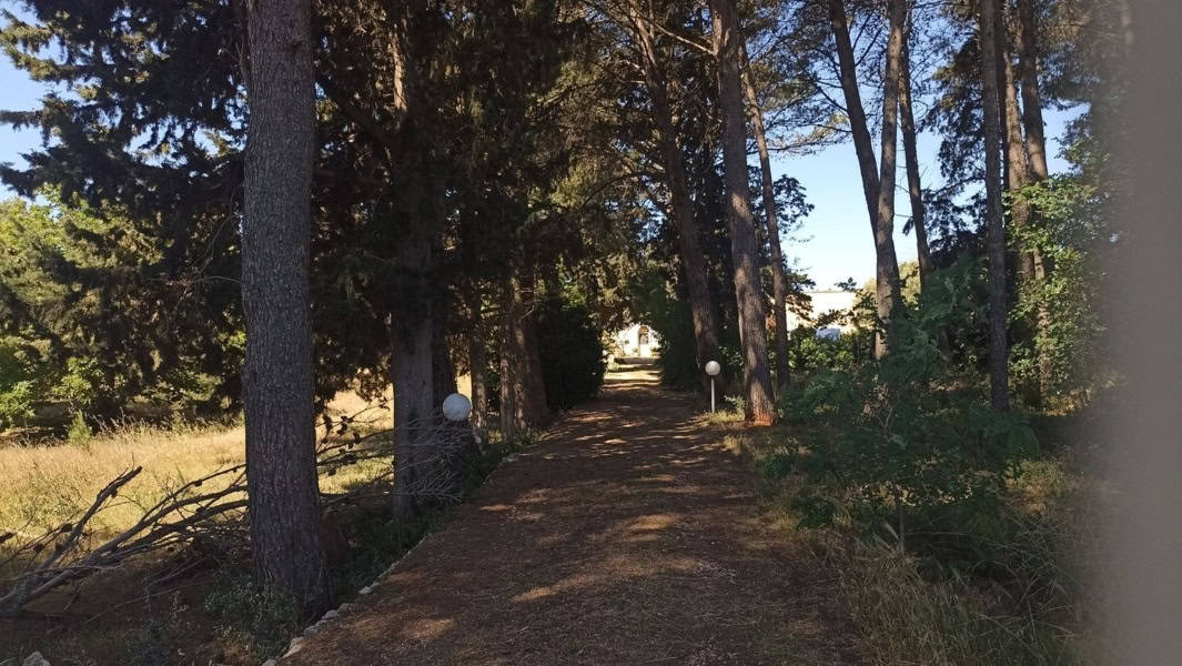 Ceglie Messapica property
