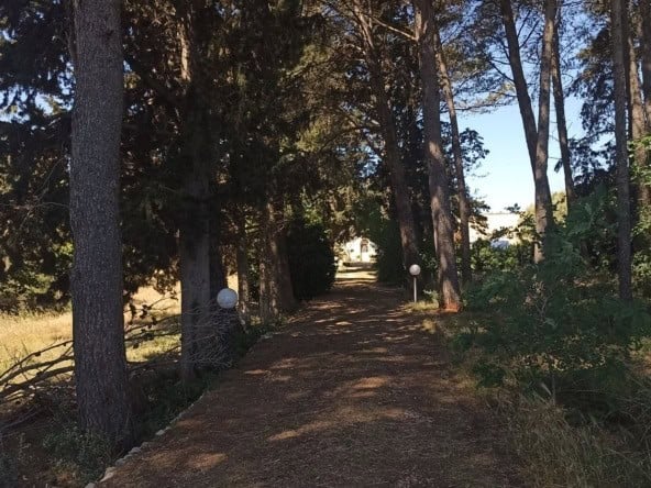Ceglie Messapica property