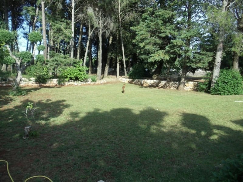 Ceglie Messapica property